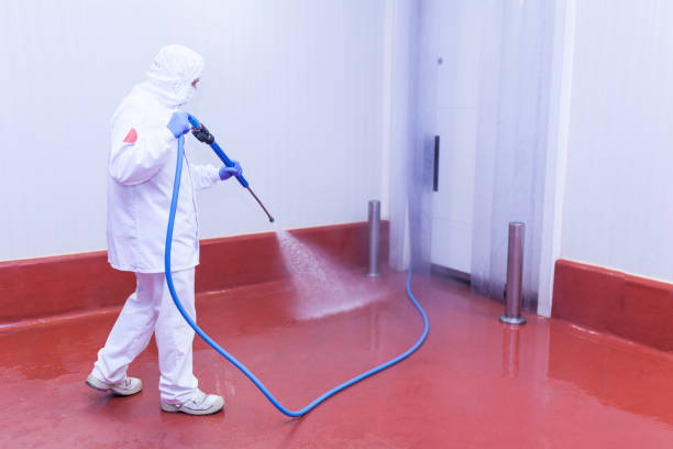 Best Playground Equipment Cleaning  in Delano, MN