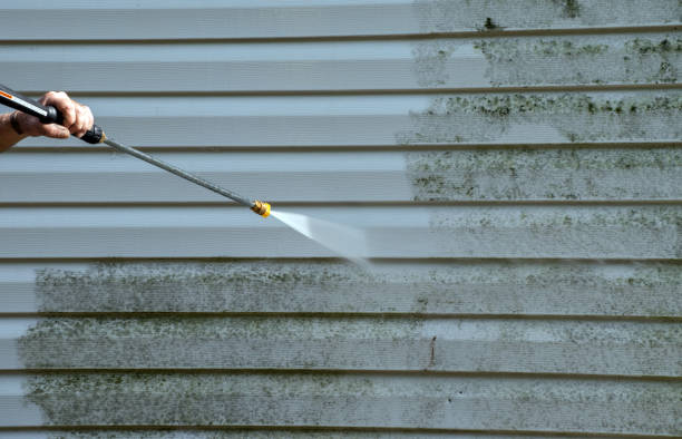 Best Sidewalk and Walkway Cleaning  in Delano, MN